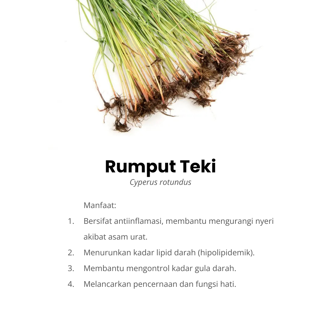 rumput teki komposisi afiapro