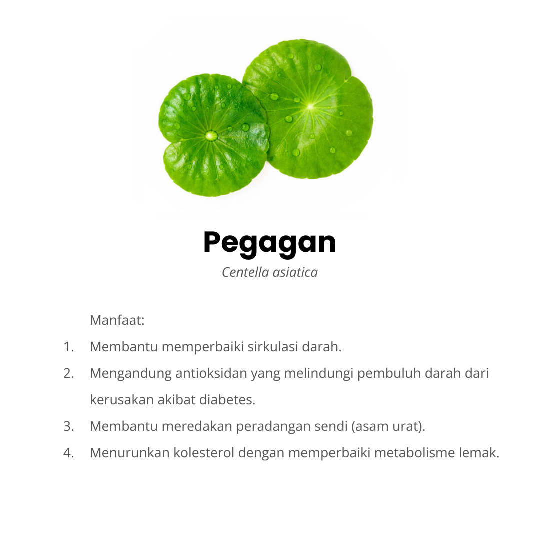 pegagan komposisi afiapro