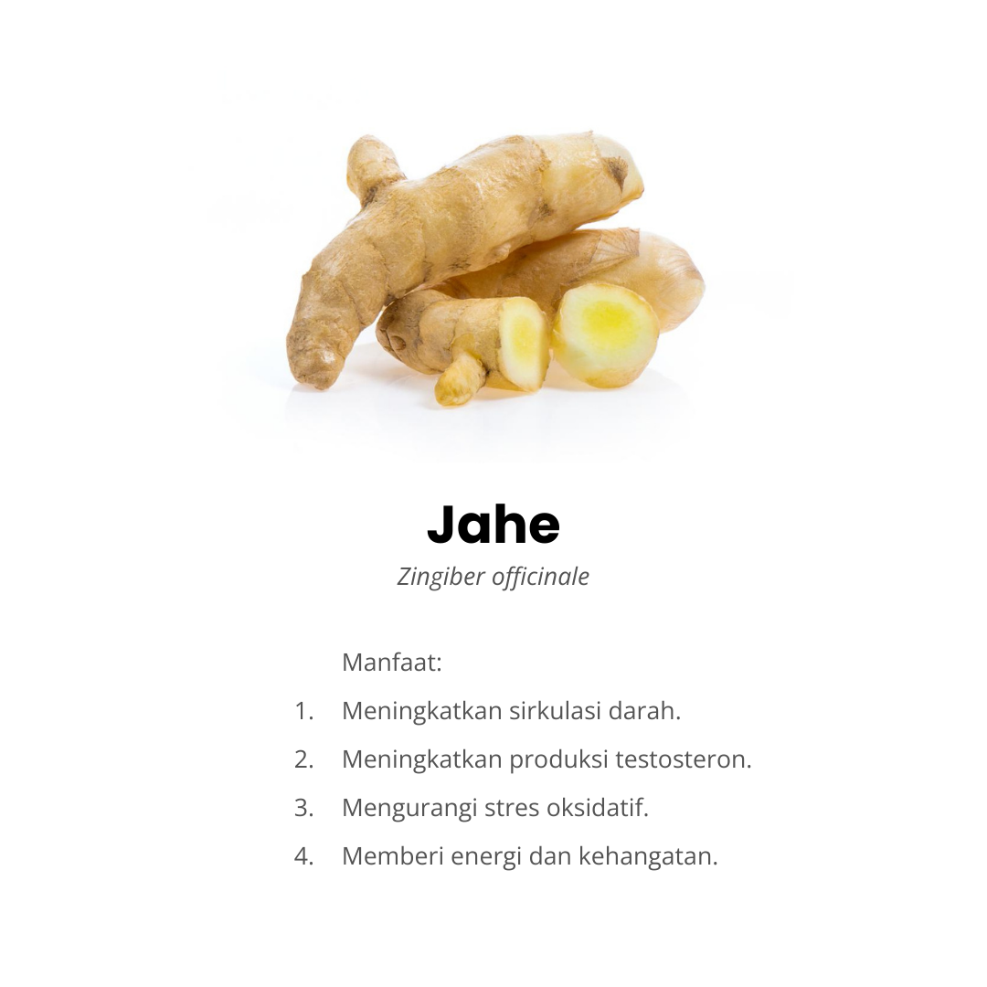 komposisi jahe fortamen