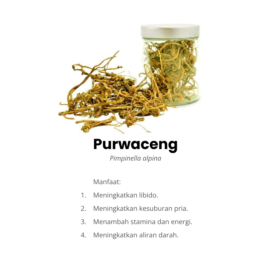 komposisi purwaceng fortamen