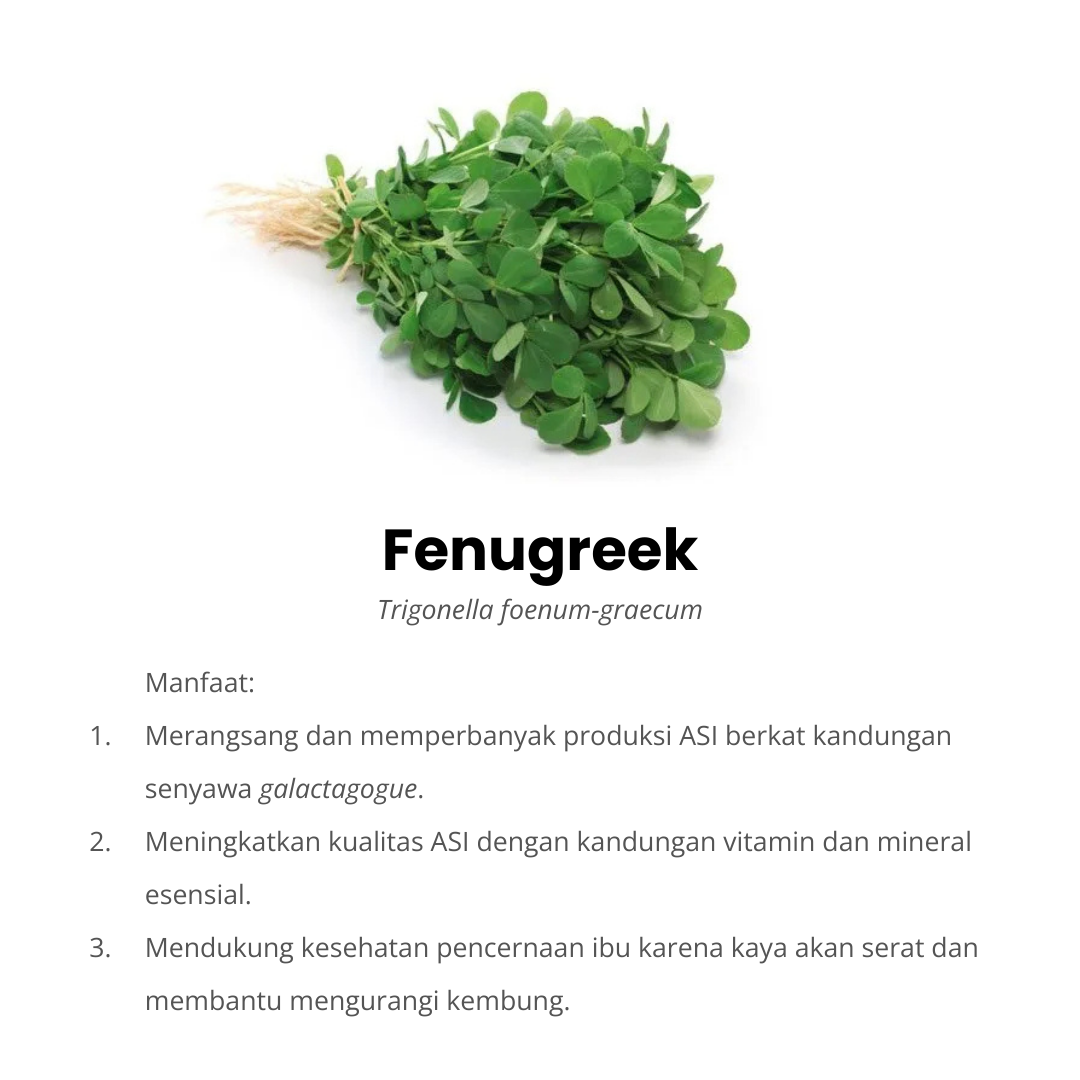 denugreek komposisi fulasi