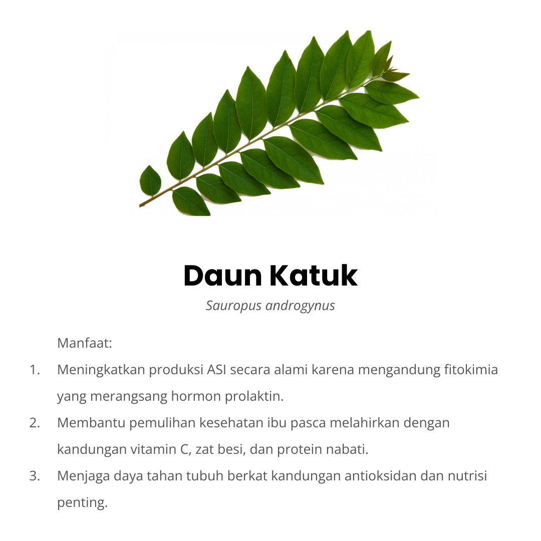 daun katuk komposisi fulasi