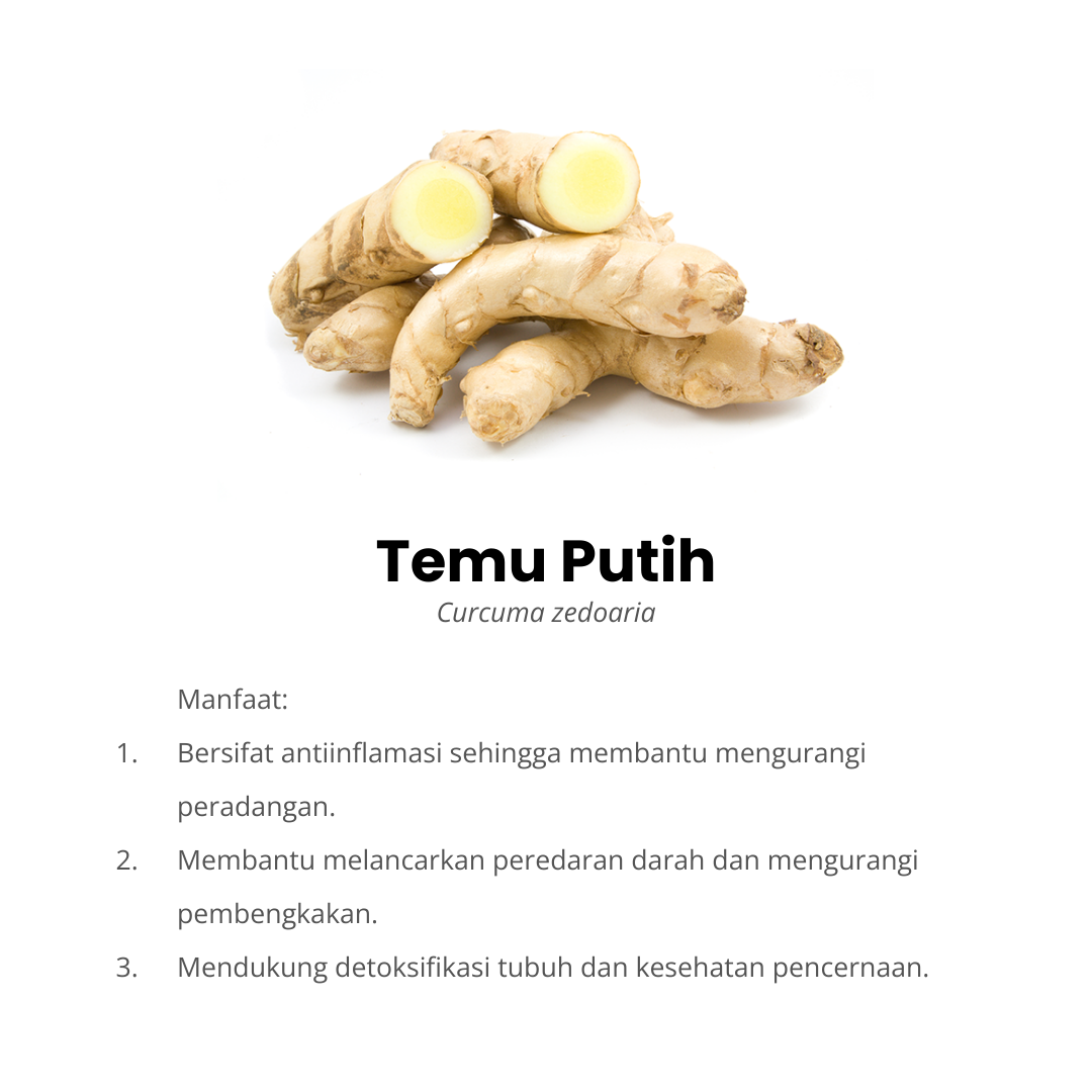 temu putih komposisi hemotera