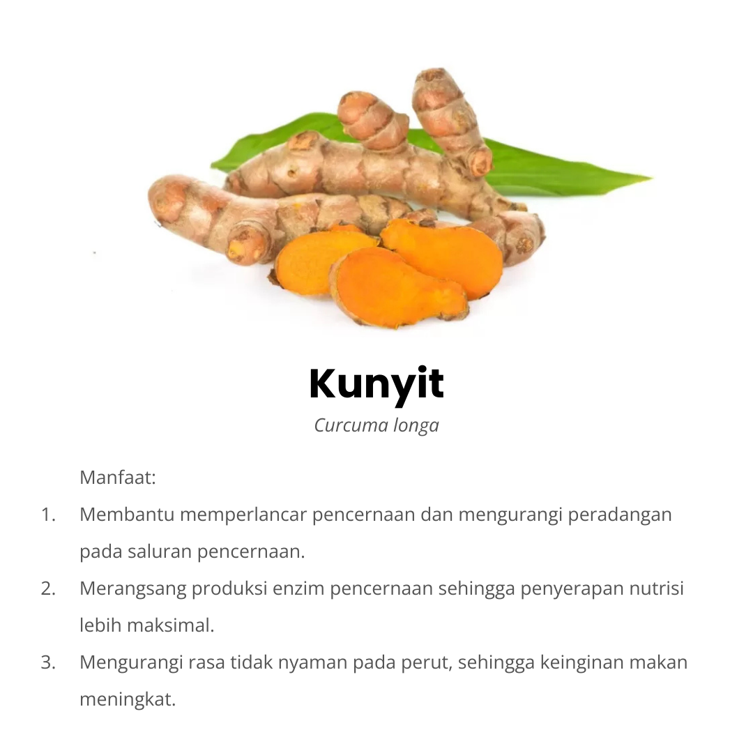 kunyit komposisi herbacuma