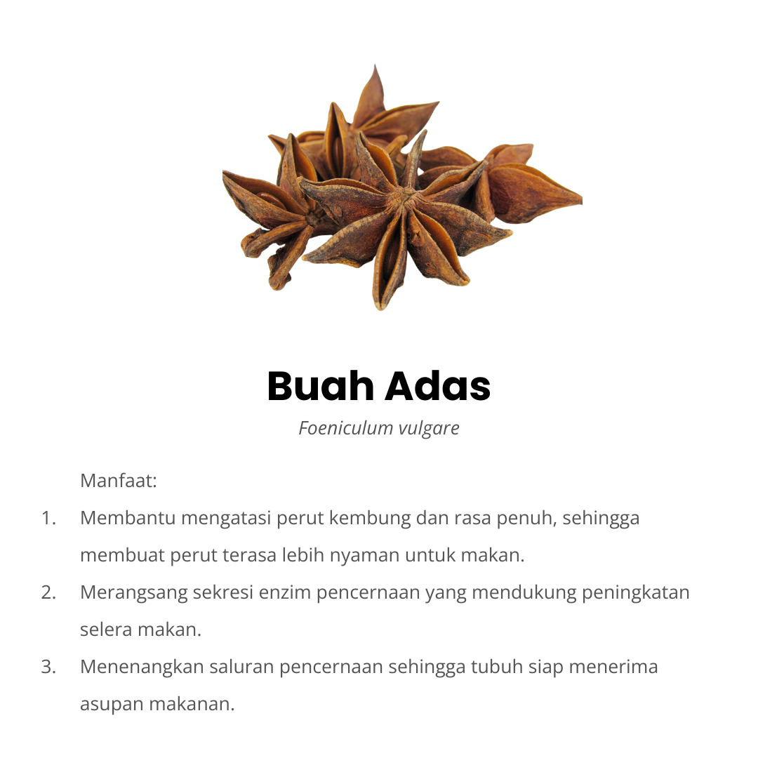 buah adas komposisi herbacuma