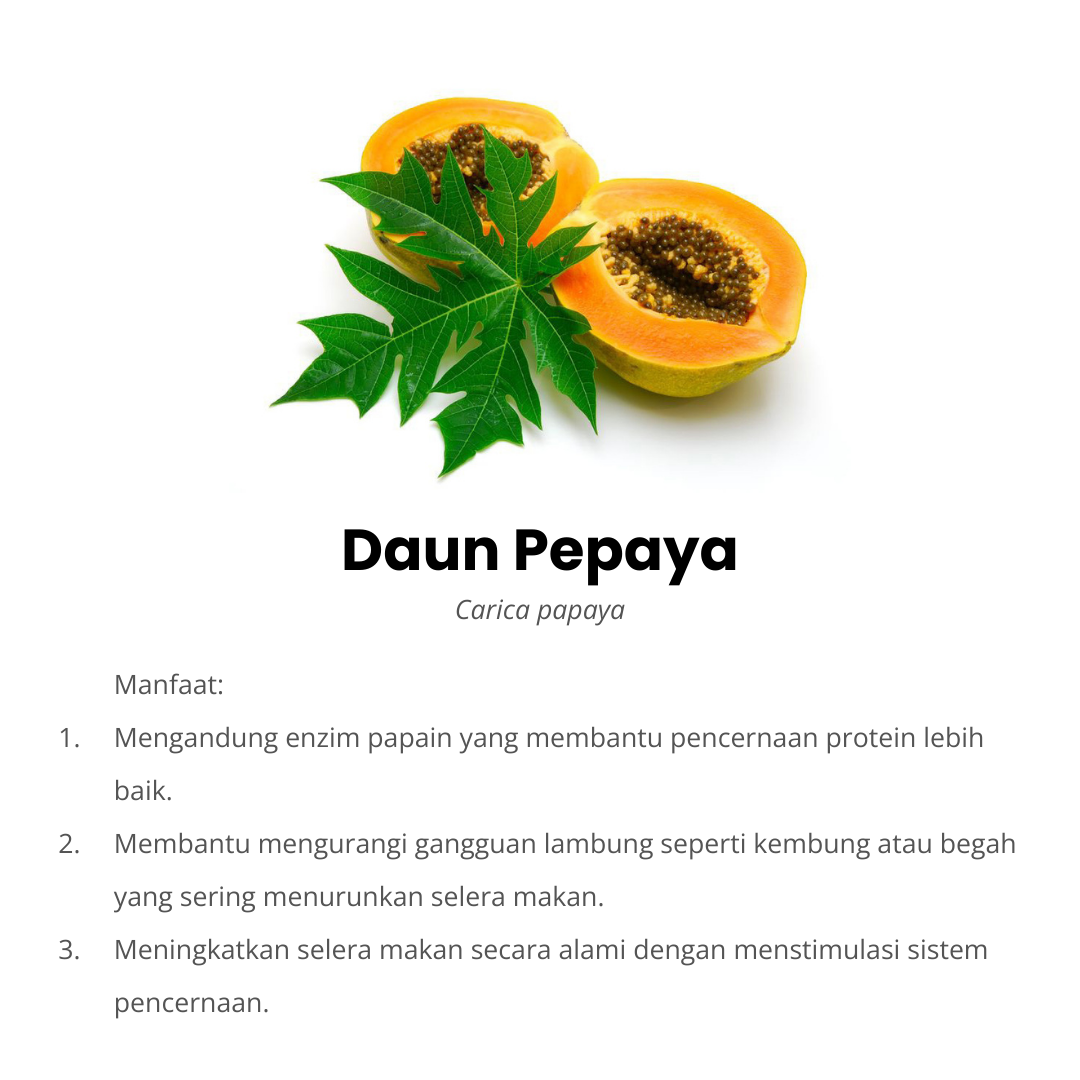 daun pepaya komposisi herbacuma