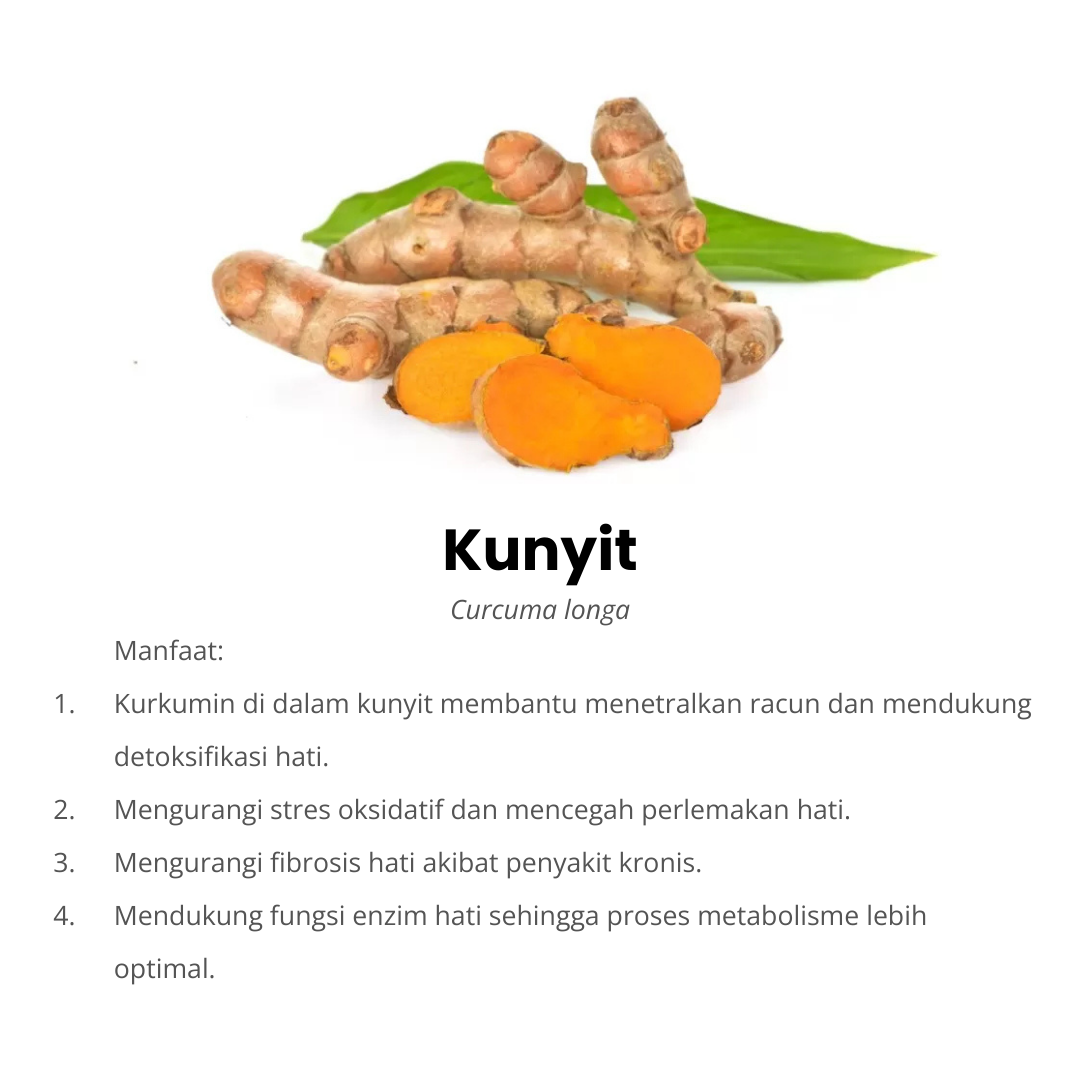 kunyit komposisi herbatitis