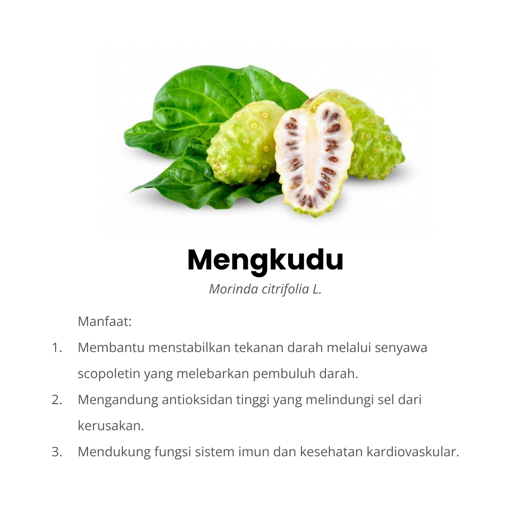 mengkudu komposisi ocardio