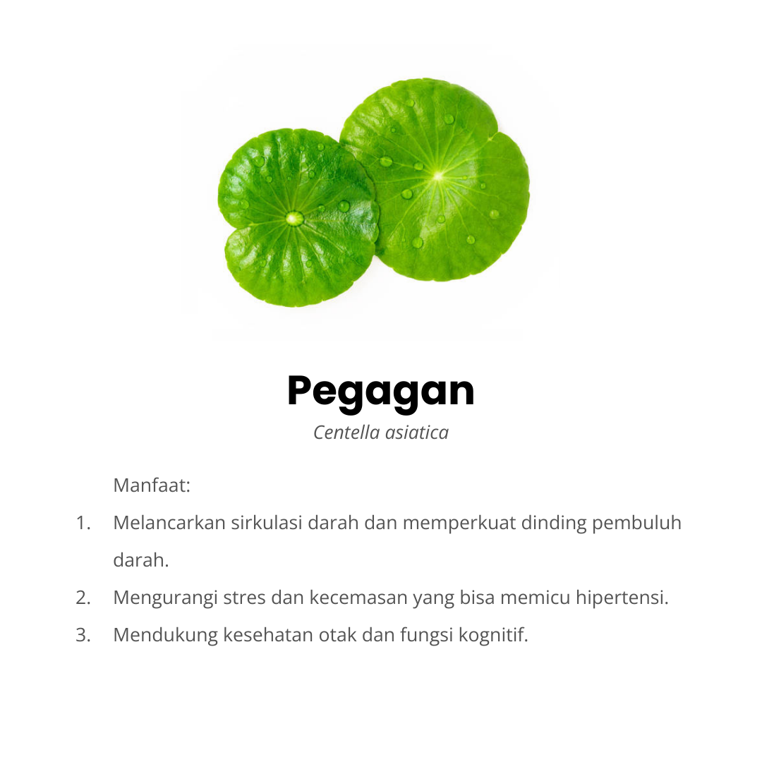 pegagan komposisi ocardio