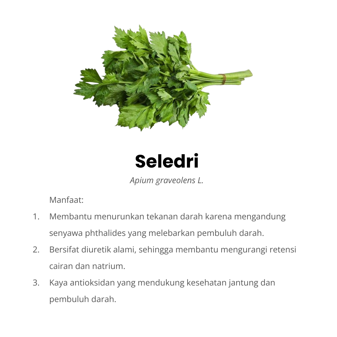 seledri komposisi ocardio