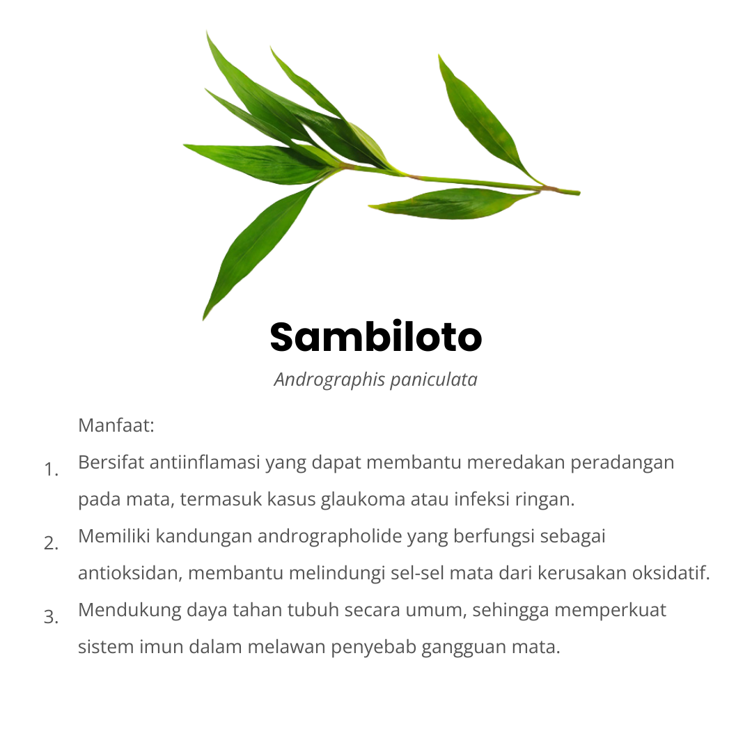 ometa komposisi sambiloto
