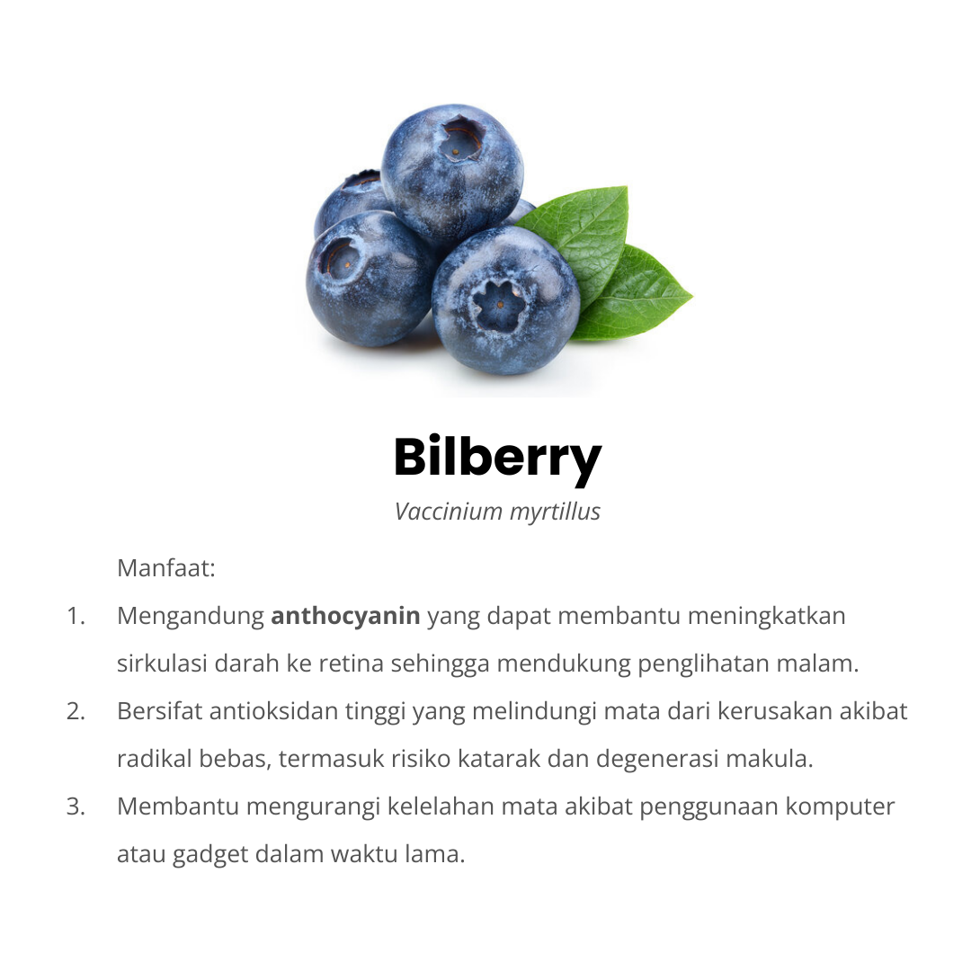 ometa komposisi bilberry