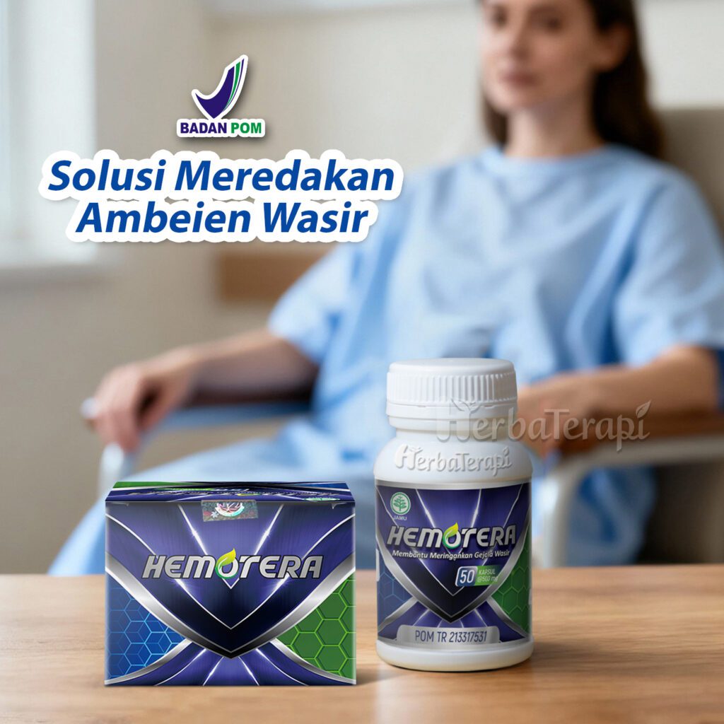 apa itu hemotera