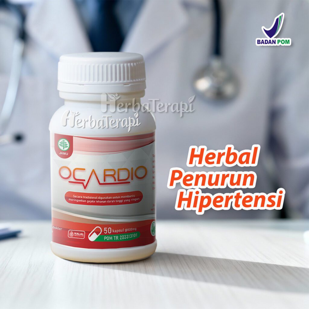 apa itu ocardio