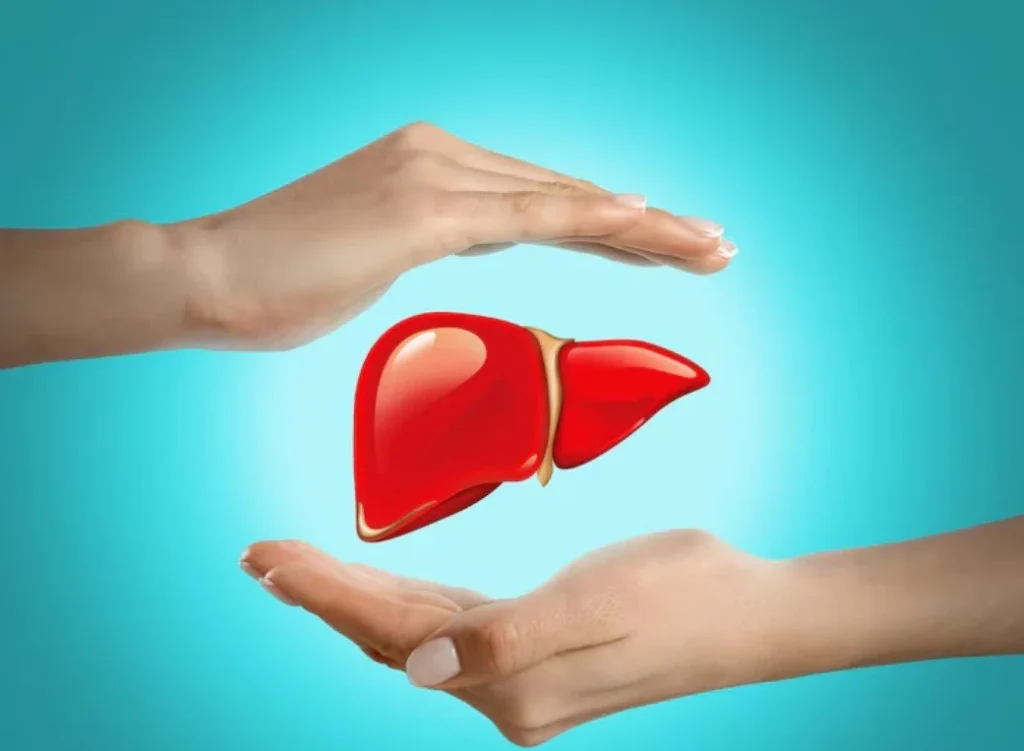 Apa itu Herbatitis dan Bagaimana Tanaman Herbalnya Membantu Kesehatan Hati