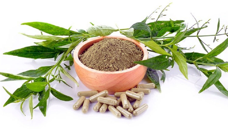 Komposisi Prosterafit Rahasia Kandungan Alami yang Menunjang Khasiatnya