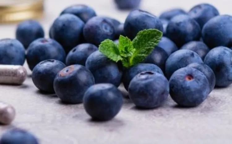 Rahasia di Balik Komposisi Ometa yang Menutrisi dan Melindungi Mata