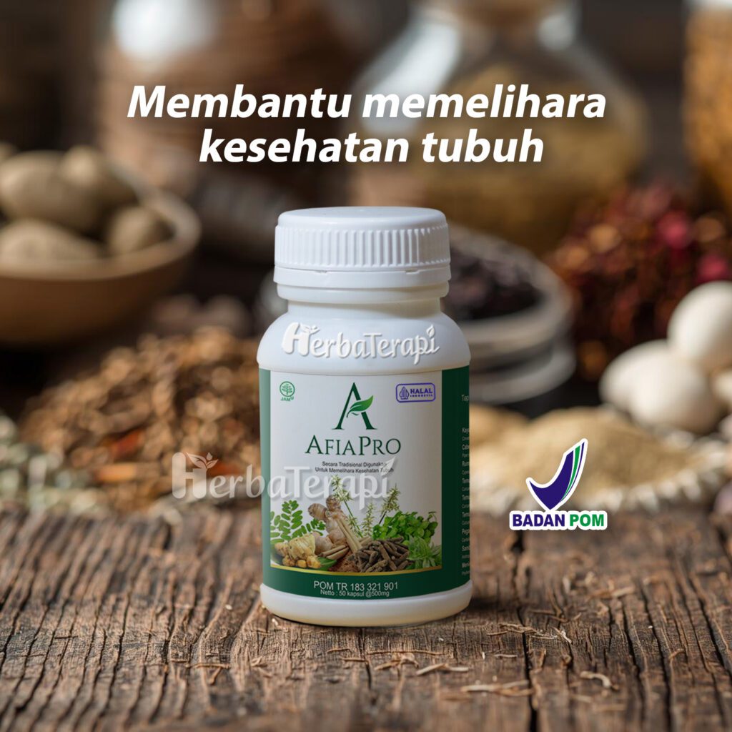 makanan penurun asam urat afiapro
