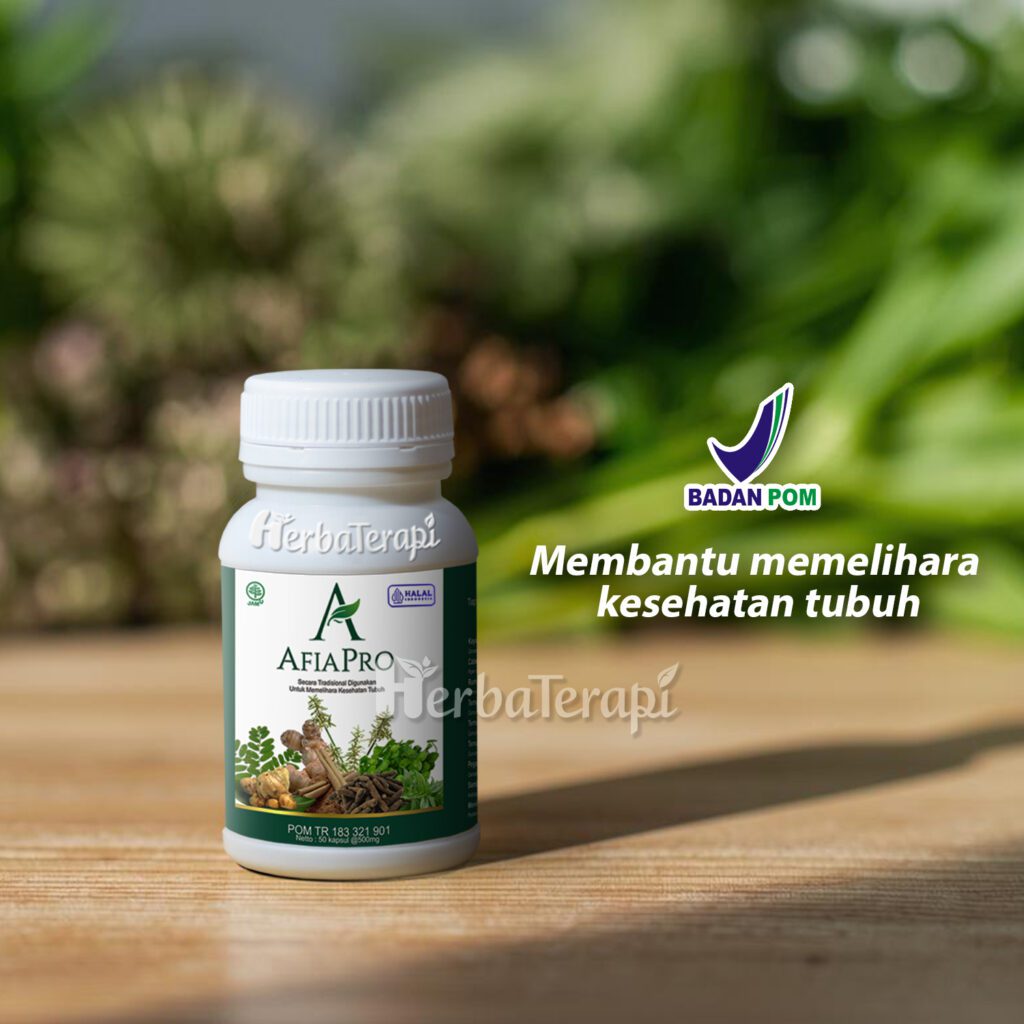 herbal untuk asam urat dan kolestrol afiapro