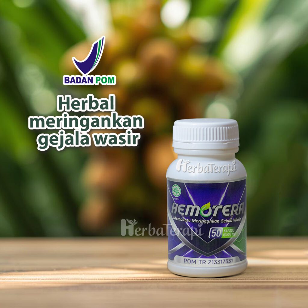 hemotera penyebab wasir