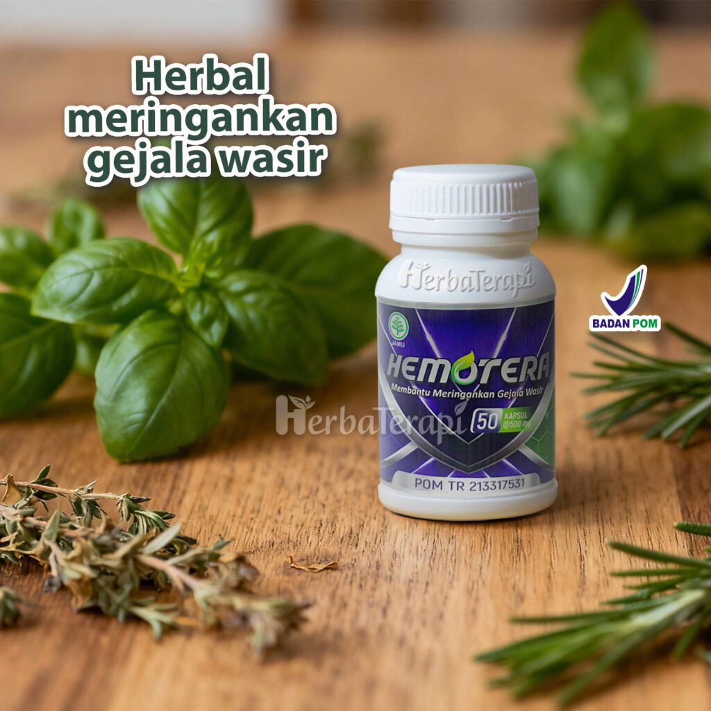hemotera obat wasir dan ambeien di apotek