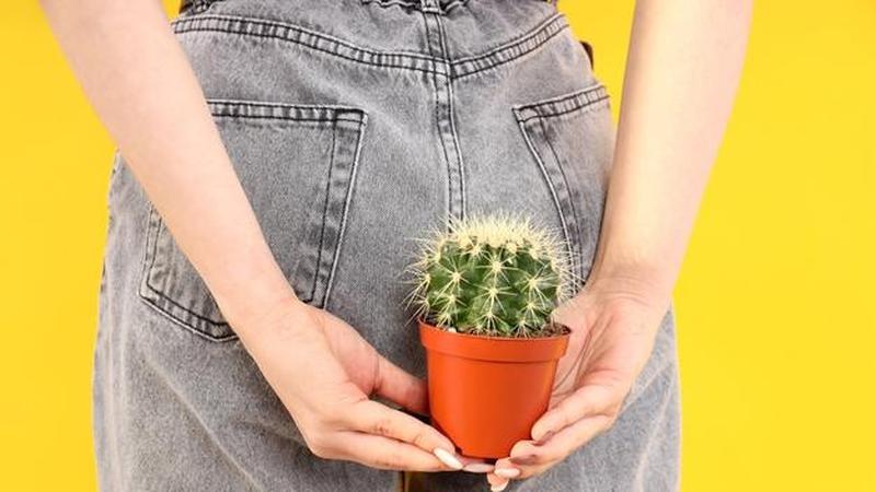 hemotera-Perbedaan Wasir dan Ambeien Beda Istilah, Kondisi Sama