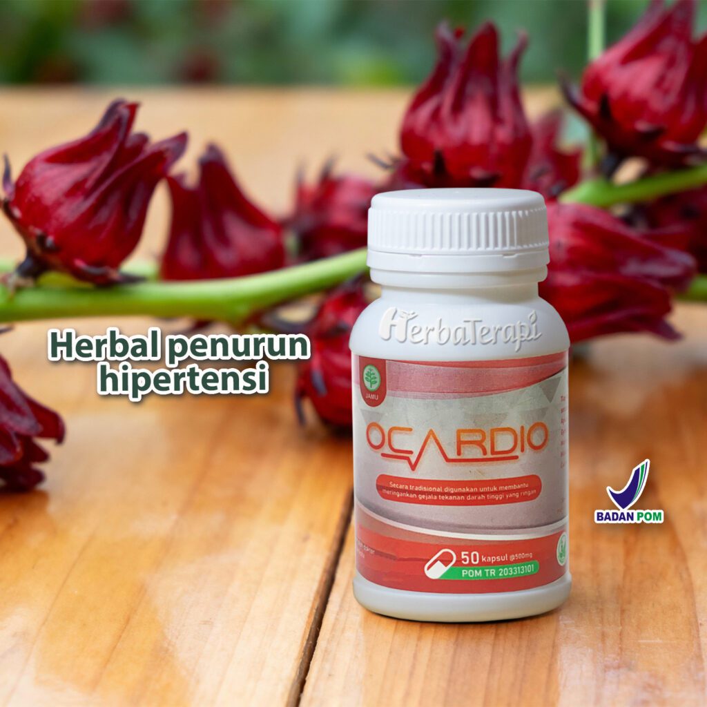 penyebab darah tinggi ocardio