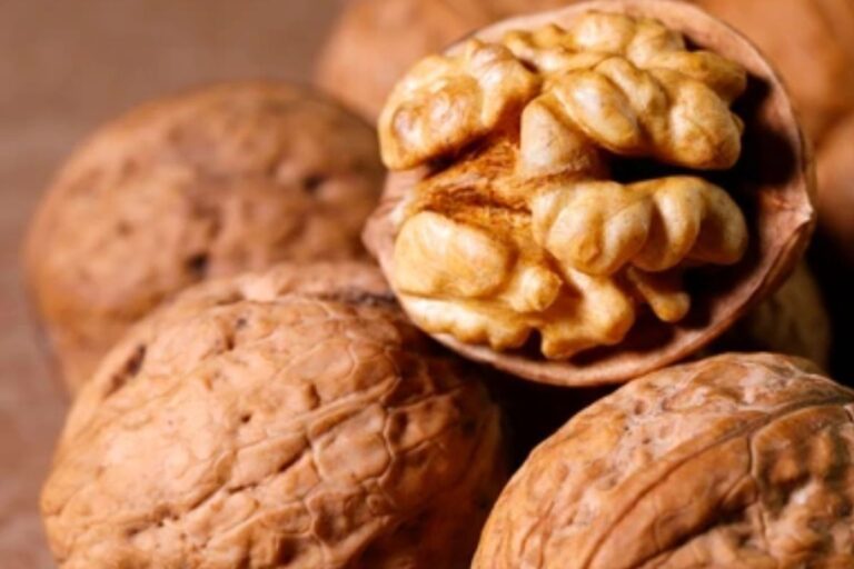 vertomen-10 Makanan Penyubur Pria agar Kesuburan Meningkat Alami