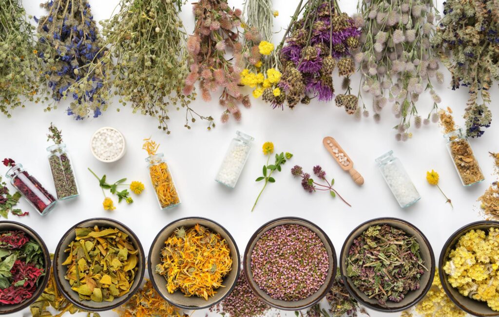 vertomen-Obat Pengental Sperma dan Penyubur Alami, Coba Sebelum Promil