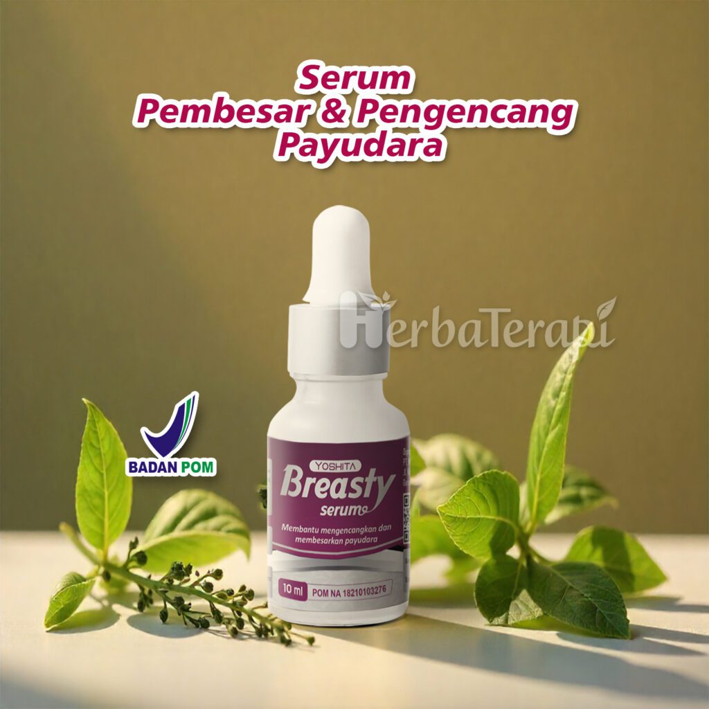 payudara ukuran 36b breasty