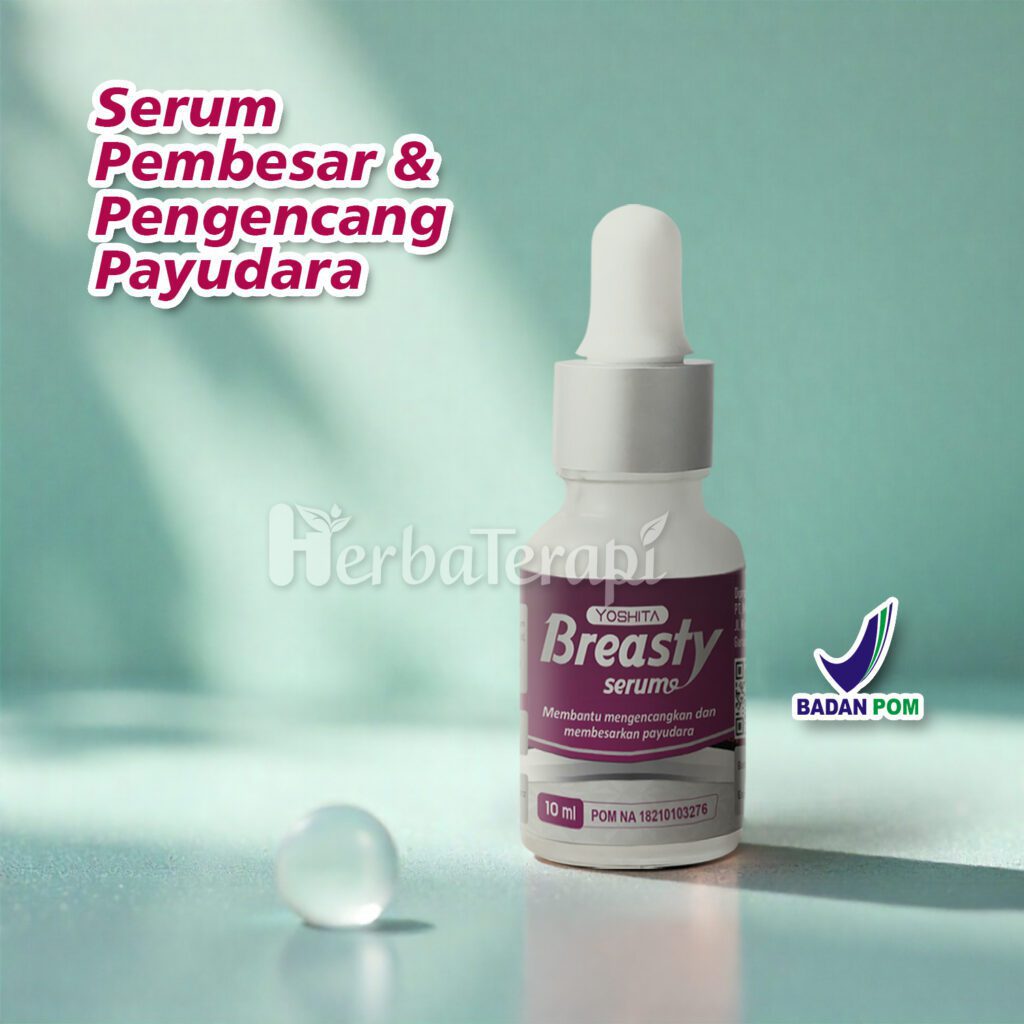 ukuran payudara 38 breasty