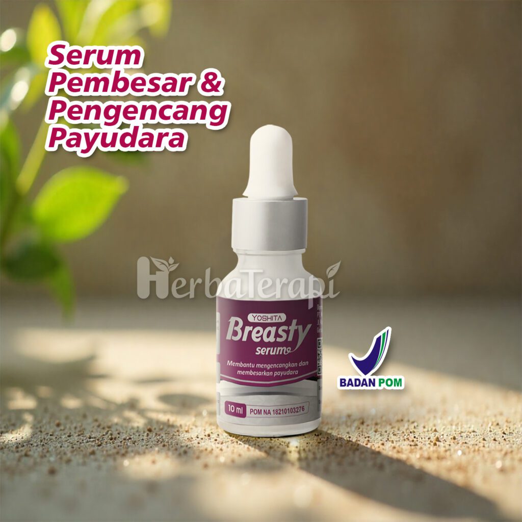 ukuran payudara 40 breasty