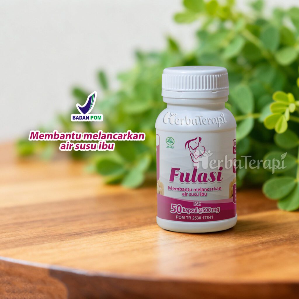 makanan pelancar asi fulasi