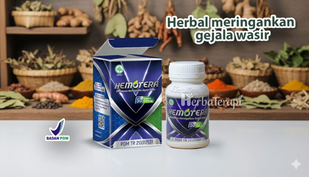 obat ambeien paling ampuh hemotera
