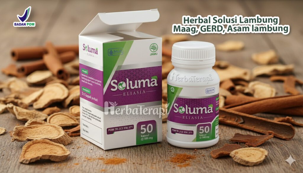asam lambung sembuh soluma