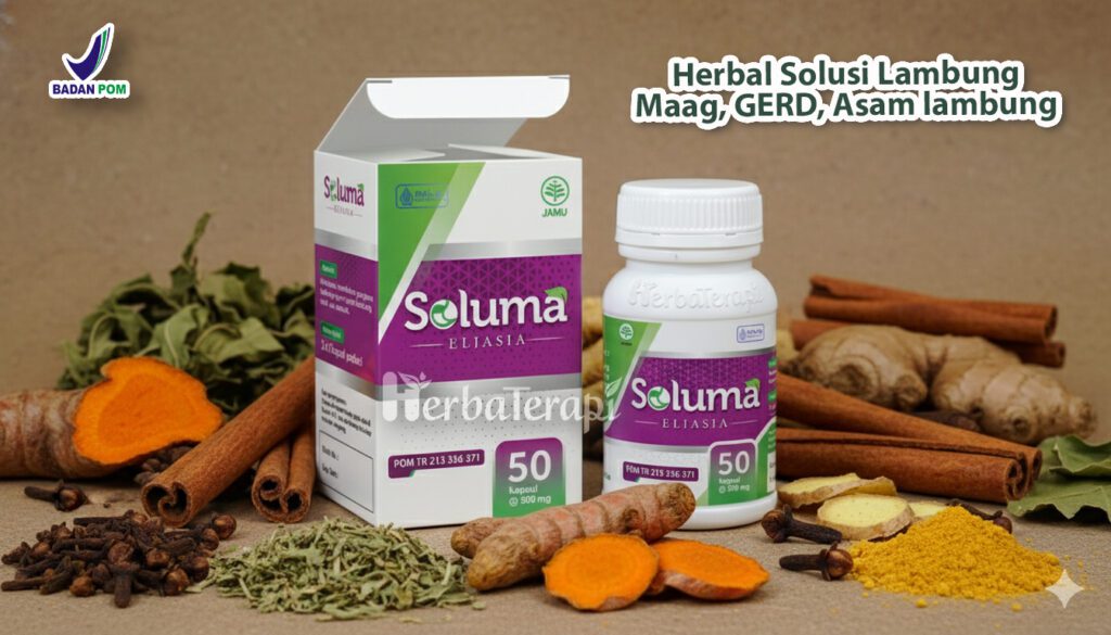 penyakit lambung soluma