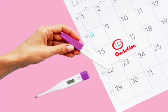 vertomen-Masa Subur Pria Kapan Waktu Terbaik untuk Program Hamil