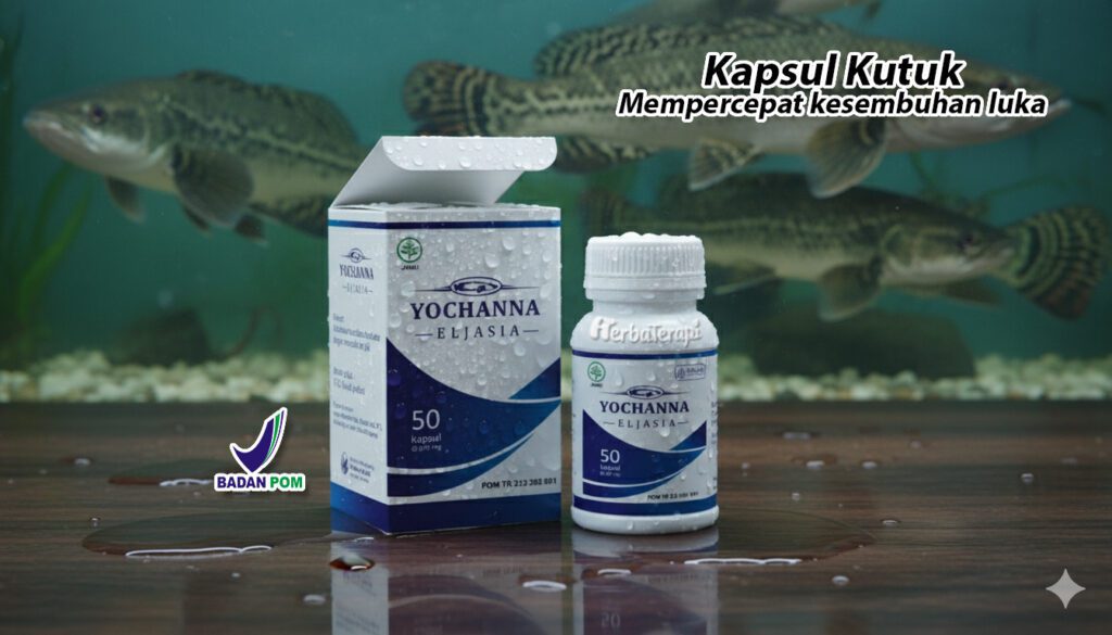 ekstrak ikan gabus yochanna