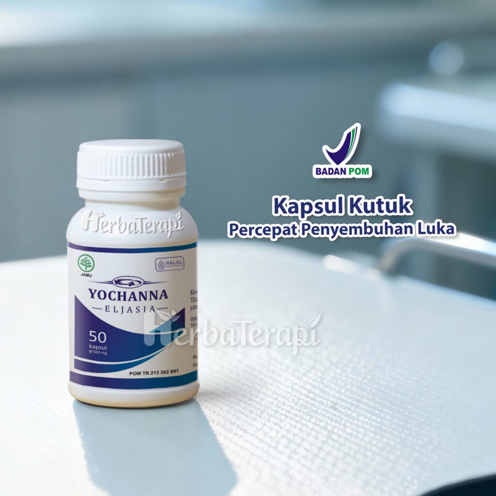 kapsul kutuk untuk apa yochanna