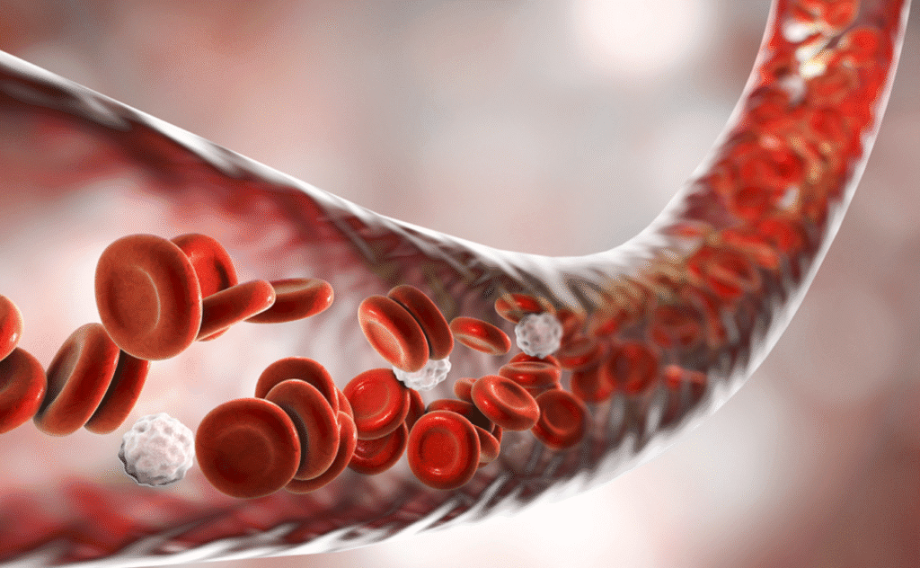 yochanna - Penyakit Albumin Itu Apa Kenali Gangguan Saat Kadar Albumin Menurun