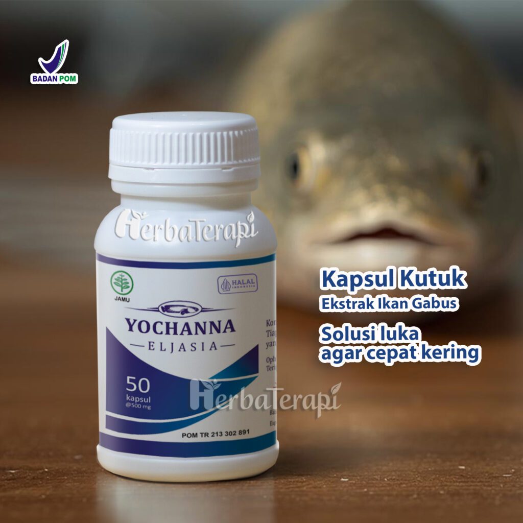 manfaat kapsul kutuk yochanna