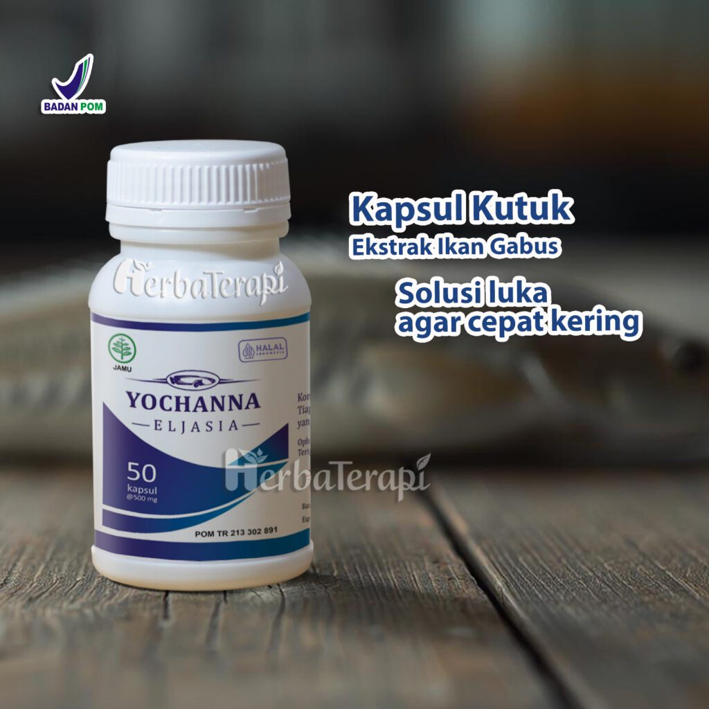 yochanna ikan kutuk bisa menyembuhkan apa saja